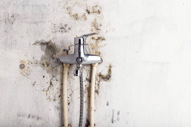 Water Damage Restoration in Martinez, GA
